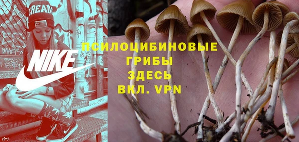 ешки Коряжма